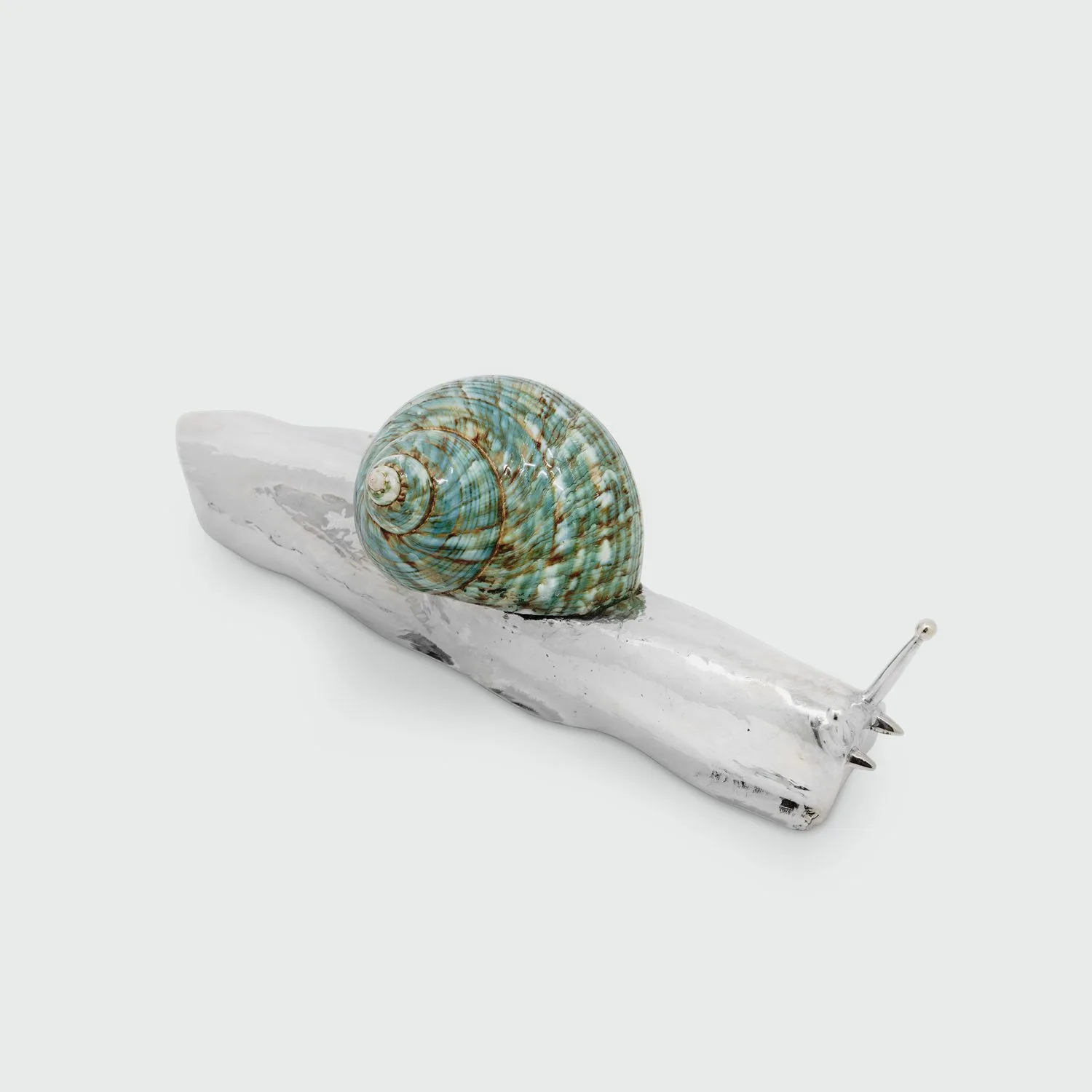 Small Jade Shell Snail - Image 2